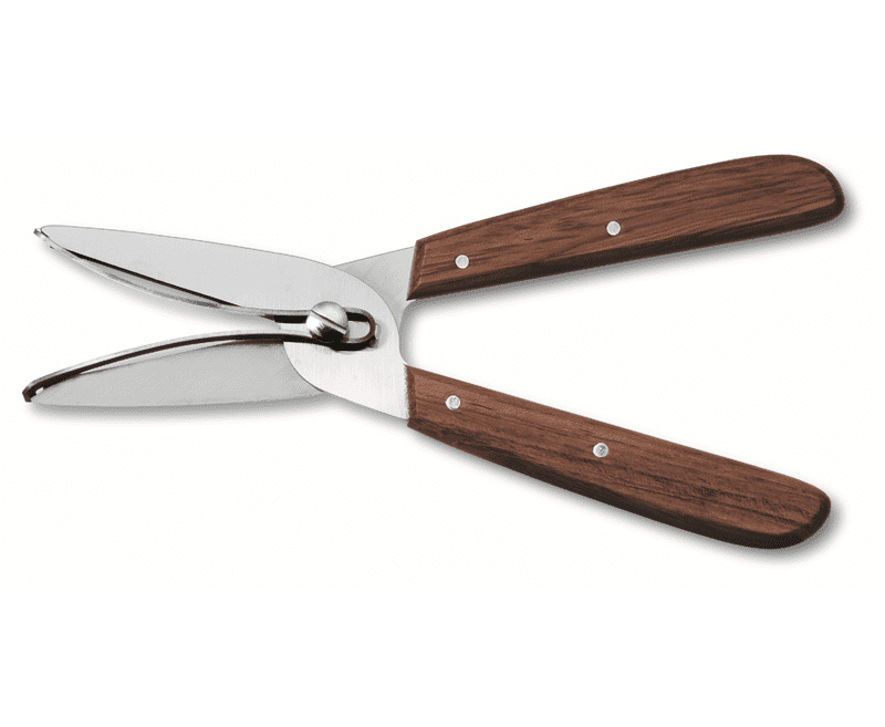 מזמרה לפרחים וגפנים VICTORINOX Flower and Grape Gatherer