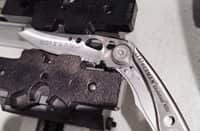 לדוגמה בלבד