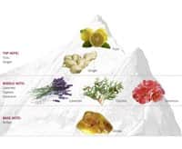 FRA_VSA_Classic_Pyramid