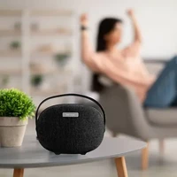 רמקול Bluetooth נייד 2X15W אפור K28 GRAY WESDAR